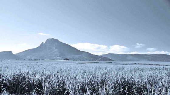 Development of 2,300 acres of state land at Highlands