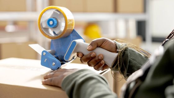 Maurice parmi les pays à forte résilience commerciale, selon CareEdge Global Ratings