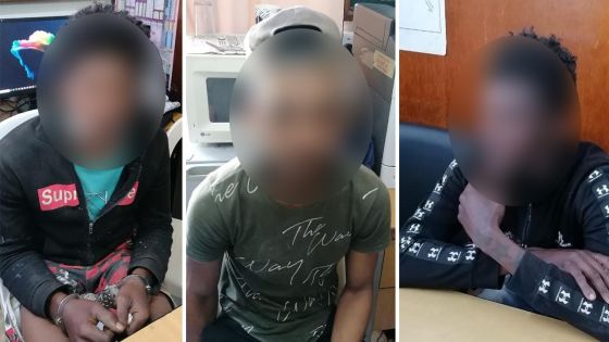 Opération « Sudden Fall » : 10 habitants de Saint-Pierre arrêtés pour vol de matériaux de construction 