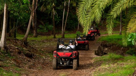 Réserve Naturelle de Bel-Ombre : le Sunset Safari, une nouvelle activité