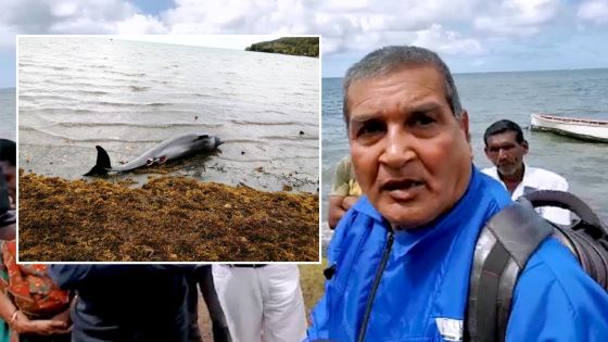 Dauphins morts dans le Sud-Est : «Nou pe anvi gagn rezilta, analiz», lance un conseiller de village