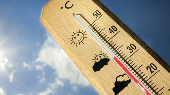 Décembre : des températures légèrement en hausse