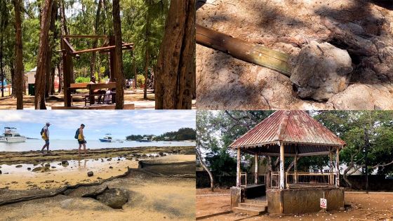 Période estivale : sale temps pour nos plages