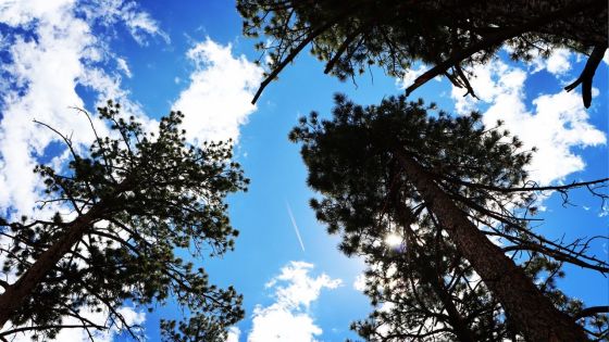 Prévisions météo du 24 août 