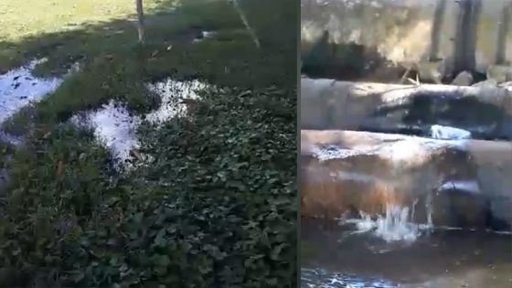 La Marie : un tuyau de la CWA endommagé, l'eau envahit un terrain de foot 