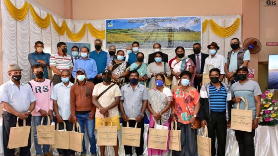 Secteur théier : 1038 planteurs obtiennent pour plus de Rs 12, 4 millions de fertilisants