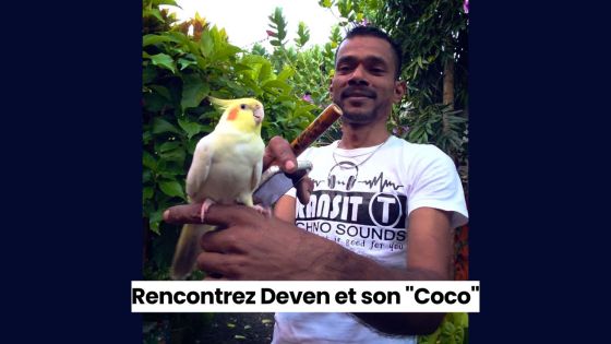 Rencontrez Deven et son Coco