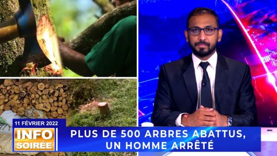 Info Soirée : Finn ena enn trafic anviron 4,5 millions dibwa santal