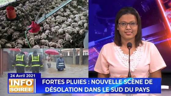 [Info Soirée] : Il perd 7 000 poules : «Dilo inn defons baraz, enn ta poul finn noye»