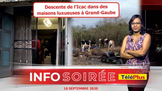 [Info Soirée] : «Mo bann zanfan fer bizness zanimo» 