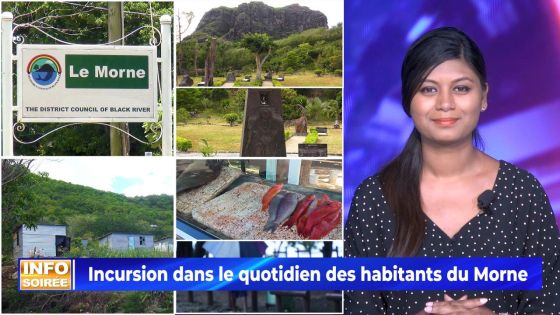 [INFO SOIRÉE] :  Symbole de résistance des esclaves : «Nou anvi nou vilaz Au Morne avanse»