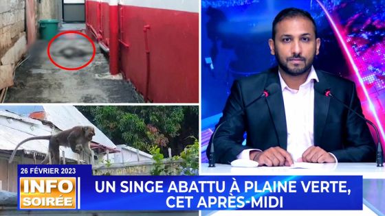 [Info Soirée] : «Li ilegal sa»