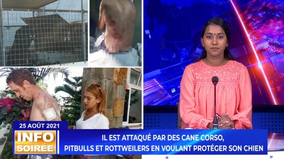 [Info Soirée] : «Zot fine morde mwa o mwen 20 fwa dans mo ledo, lipie ek lebra»