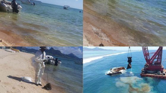 MV Wakashio : Traces d’hydrocarbures à Pointe d’Esny