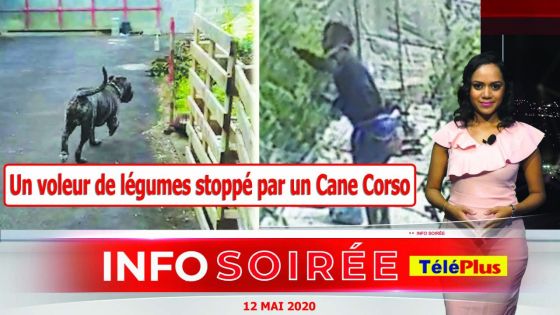 [INFO SOIREE]: « Salah ti carrément lor voler la ek line bless li»