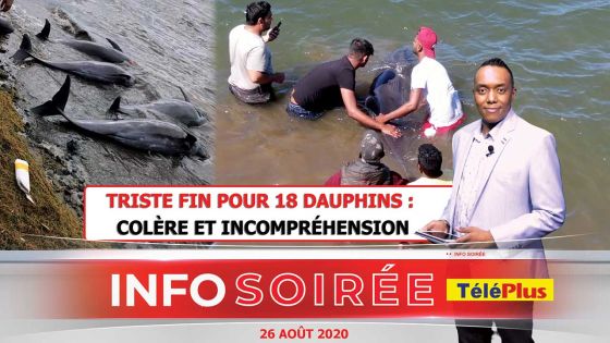[Info Soirée] : «Lotopsi finn fer lor 2 dauphin pou bizin fer ankor analiz»