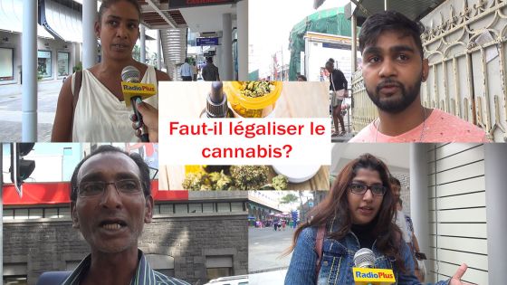 [Micro-trottoir] Ça fait débat : faut-il légaliser le cannabis médical à Maurice ?