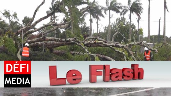 Le Flash TéléPlus : Carlos fait autant de bien que de mal 