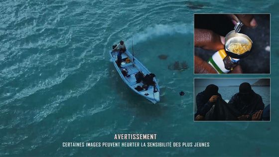 [Bande-annonce] Drogue : une traque sans fin