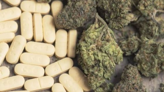 À Port-Louis : cannabis et psychotrope saisis chez un mécanicien