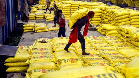 Droits de douane : derniers développements et ultimes annonces