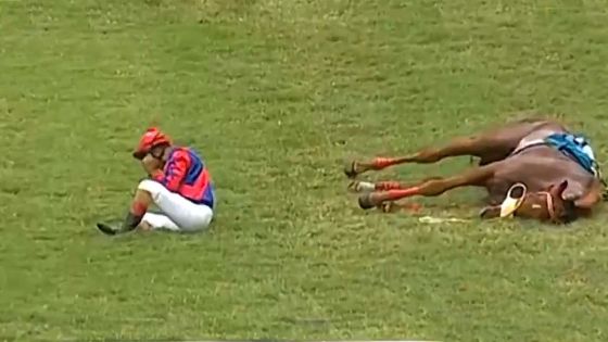 Après une chute dans la deuxième course hippique d'aujourd'hui : Mounted Warrior euthanasié, plus de peur que de mal pour Bheekary