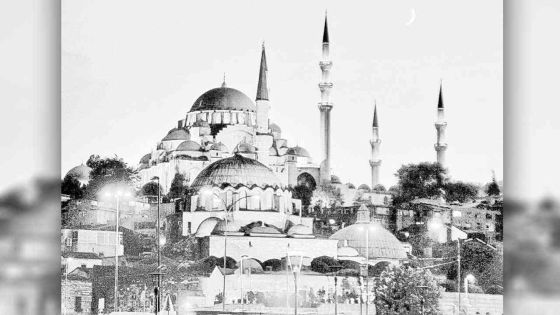 Bilateral cooperation: Turkey woos Mauritian companies for business opportunities 