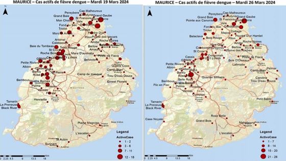 Santé publique - Dengue : de nouveaux foyers identifiés