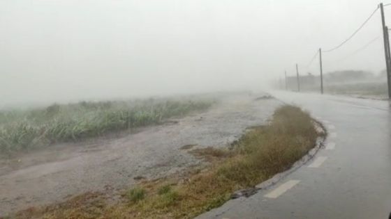 Pluviométrie : Quatre-Bornes enregistre 53,2 mm en 24 h