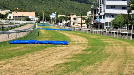[Urgent] Hippisme : la cinquième journée prévue ce dimanche annulée