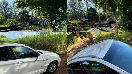 Villebague : une branche tombe sur une voiture