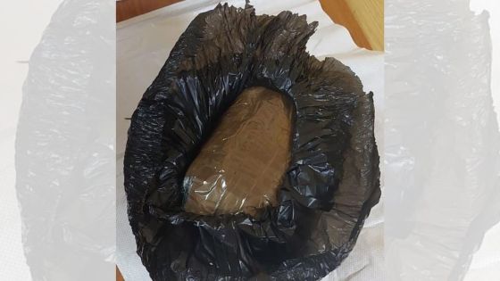 Riche-Terre : Rs 16 millions de drogue synthétique découvertes sur un terrain en friche