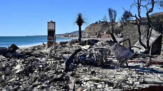 Incendies à Los Angeles : au moins 24 morts, des vents violents menacent