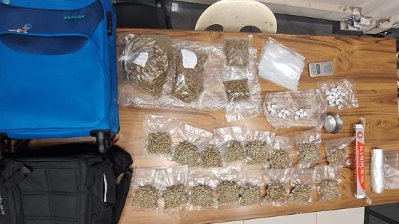 Baie-du-Tombeau : du cannabis d’une valeur de Rs 5,4 millions découvert chez un jeune homme