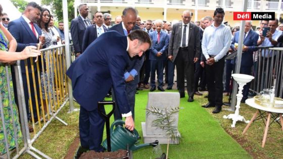 Visite présidentielle : Emmanuel Macron met en terre un « Bois de Poupart », au jardin botanique de Pamplemousses