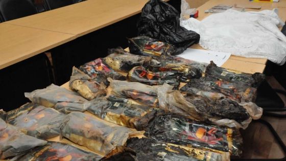 Arrestation de Bruneau Laurette : 40 kilos de haschich retrouvés selon les premières indications  