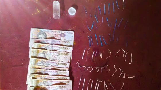 Rivière-du-Rempart : un homme arrêté avec 89 papie tranpe