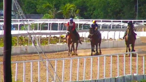 Hippisme : la tenue d'une ‘Mock Race’ à l’hippodrome de Petit-Gamin le 20 décembre envisagée