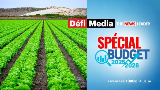 Agriculture : une enveloppe de Rs 800 M pour les planteurs