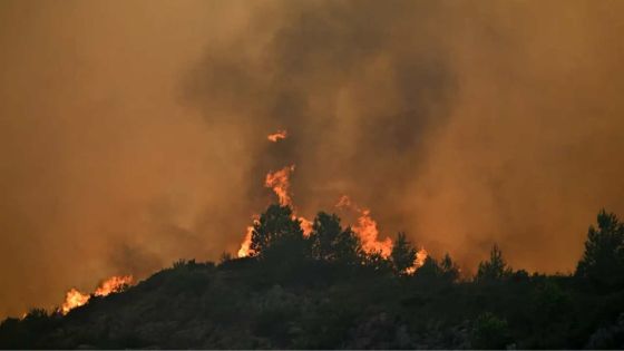 Incendie dans l'Aude: Une catastrophe d'ampleur inédite, selon Bayrou