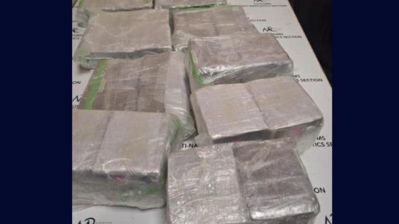 Plaisance : Saisie de Rs 185 millions de haschisch, un couple britannique arrêté