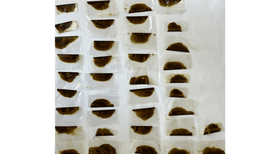 Triolet : un adolescent de 16 ans interpellé pour trafic de haschich