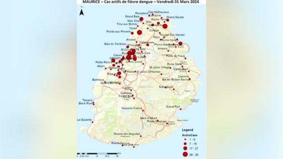 Dengue : explosion des nouveaux cas actifs