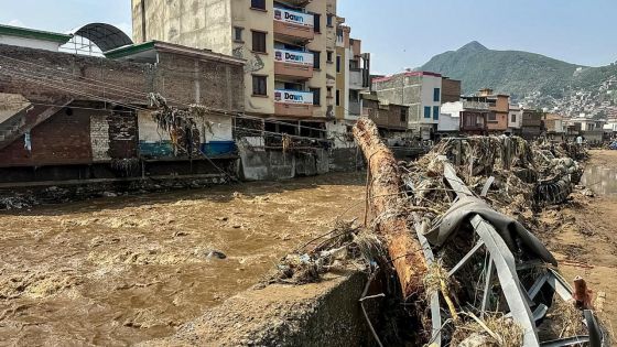 Au Pakistan, la mousson fait plus de 320 morts en 48 heures, les secours s'organisent