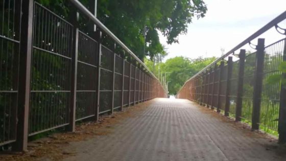 Albion : la passerelle menant vers la plage publique fermée jusqu’à nouvel ordre