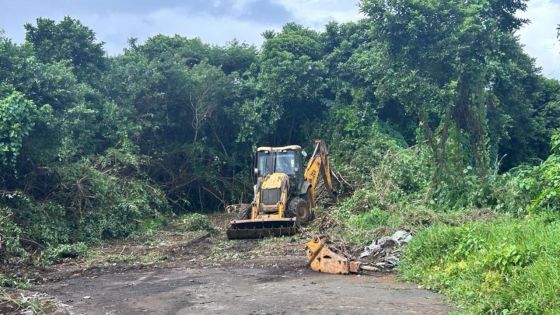 Centre culturel tamoul : début des travaux à Réduit 