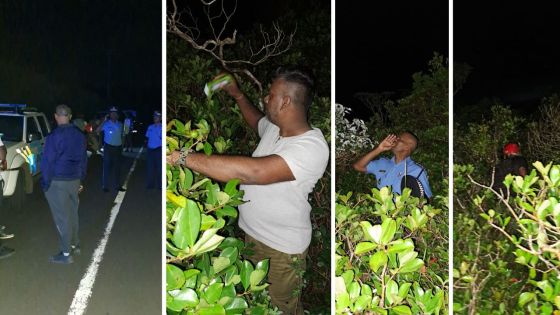 Plaine-Champagne : une dame de 56 ans portée disparue