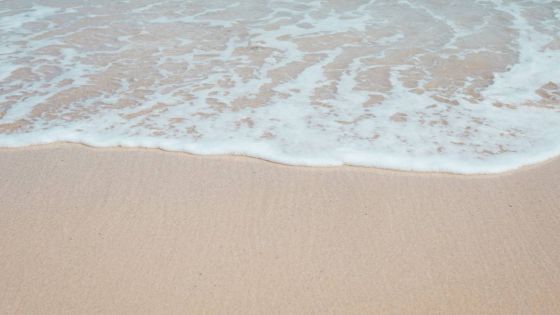 Assomption : la petite île qui est devenue un enjeu majeur des élections seychelloises