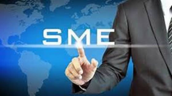 Année financière 2024-2025 : 950 entrepreneurs soutenus par SME Mauritius 