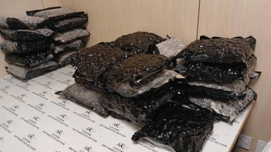 Plaisance : un Britannique arrêté avec 31,6 millions de cannabis